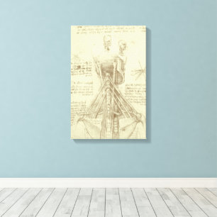 Human Anatomy Spinal Column by Leonardo da Vinci Canvas Print
