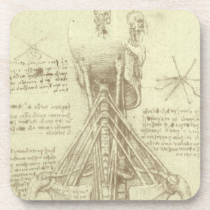 Human Anatomy Spinal Column by Leonardo da Vinci Coaster