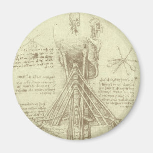 Human Anatomy Spinal Column by Leonardo da Vinci Magnet