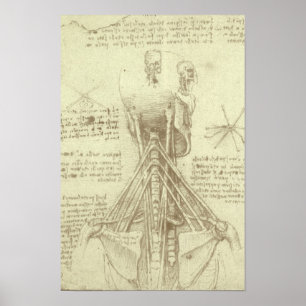Human Anatomy Spinal Column by Leonardo da Vinci Poster