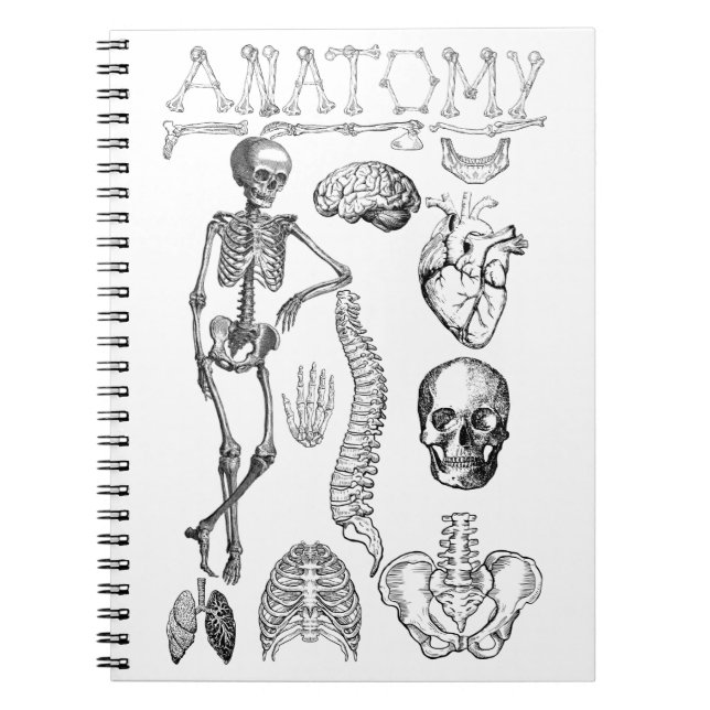 Human Anatomy textbook for notes Notebook (Front)