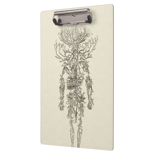 Human Anatomy The Arteries Antique Illustration Clipboard (Left)