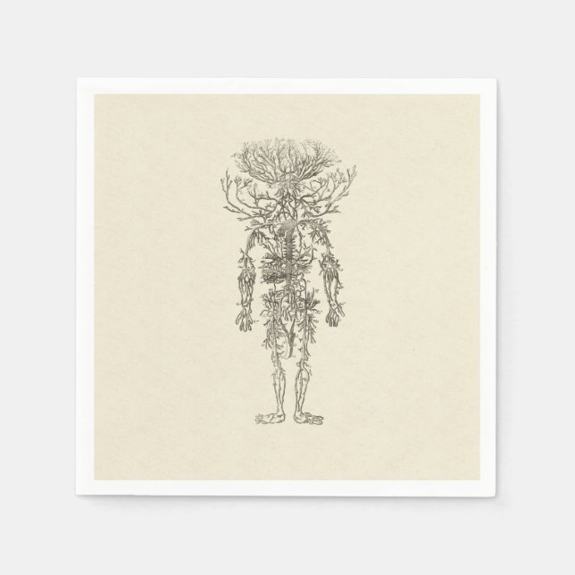 Human Anatomy The Arteries Antique Illustration Napkin (Front)