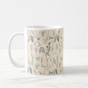 Human Anatomy Vintage Coffee Mug