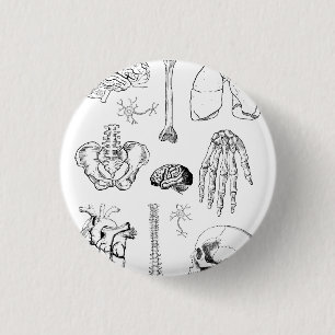 Human Anatomy Vintage Medical Illustration Set 3 Cm Round Badge