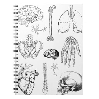 Human Anatomy Vintage Medical Illustration Set Notebook
