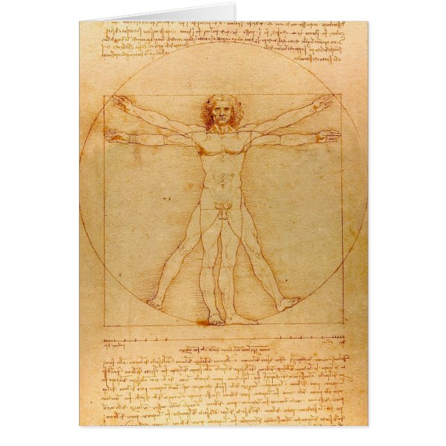 Human Anatomy, Vitruvian Man by Leonardo da Vinci (Front)