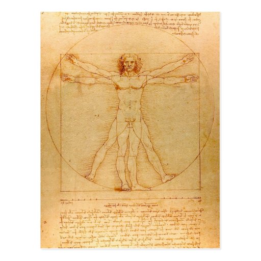 Image of Human Anatomy, Vitruvian Man by Leonardo da Vinci Postcard