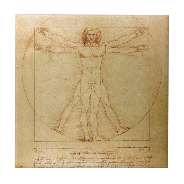 Human Anatomy, Vitruvian Man by Leonardo da Vinci Tile (Front)