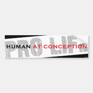 Human At Conception Bumper Sticker