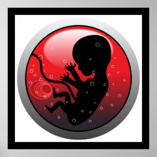HUMAN BABY EMBRYO POSTER