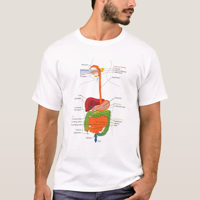 Human Body Digestive System Gastrointestinal Tract T-Shirt (Front)