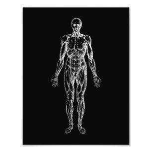 Human body, male anatomy black and white photo print