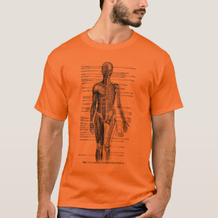 Human body Medical Diagram Tee- 4 students T-Shirt