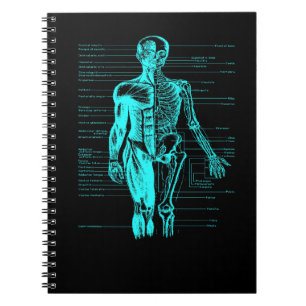 Human Body Muscle Anatomy Doctor Nurse Baby Blue Notebook