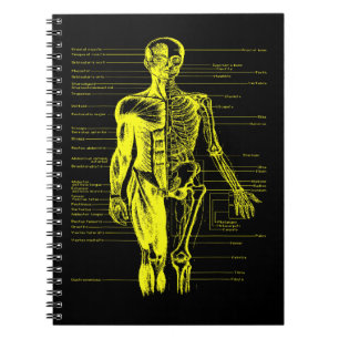 Human Body Muscle Anatomy Doctor Nurse Yellow Notebook