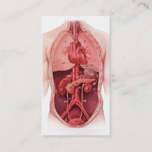 human body parts medical business cards (Front)