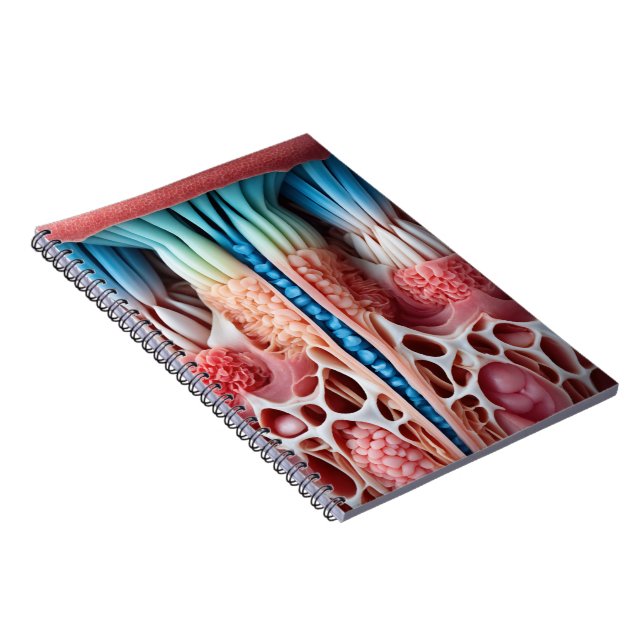 Human Body Spiral Notebook Description (Right Side)