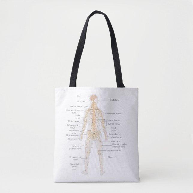 Human Body's Nervous System Body Diagram Chart  Tote Bag (Front)