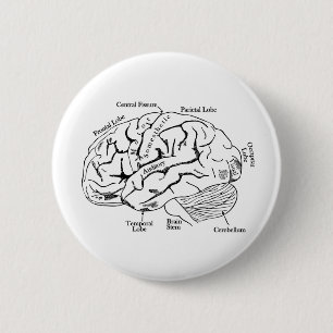 Human Brain 6 Cm Round Badge