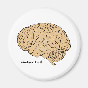 Human Brain: Analyse This! Magnet