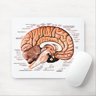 Human Brain Anatomy Medical Diagram Novelty Mouse Mat
