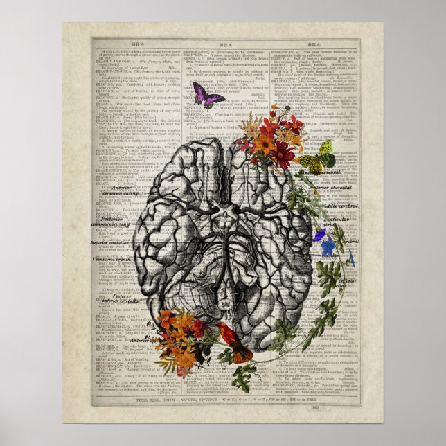 Human Brain Anatomy with Flowers Butterflies Poster (Front)