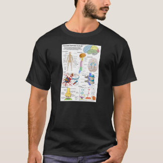Human Brain and Central Nervous System Diagram T-Shirt