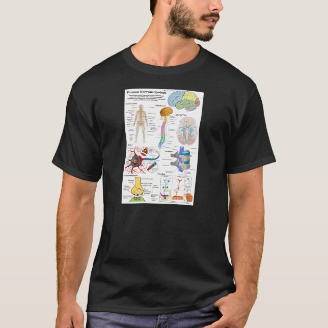 Human Brain and Central Nervous System Diagram T-Shirt (Front)