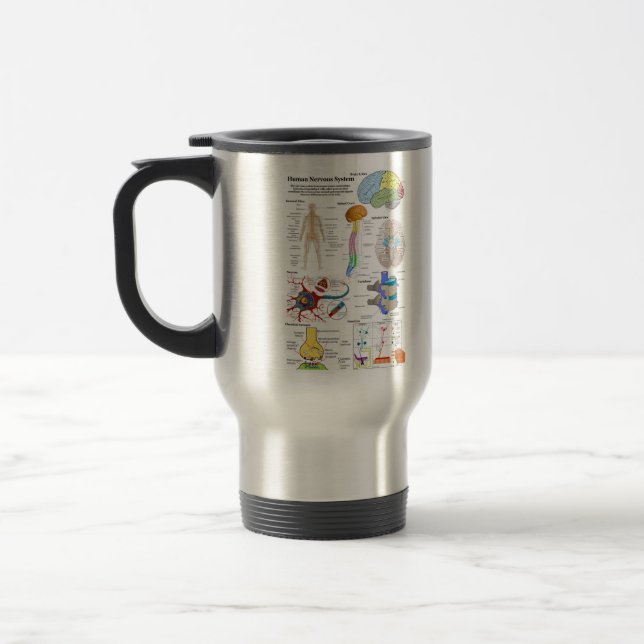 Human Brain and Central Nervous System Diagram Travel Mug (Left)