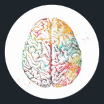 Human Brain Classic Round Sticker<br><div class="desc">Human Brain,  Brain Anatomy,  Watercolor,  Medical Science Art,  Anatomical Art</div>