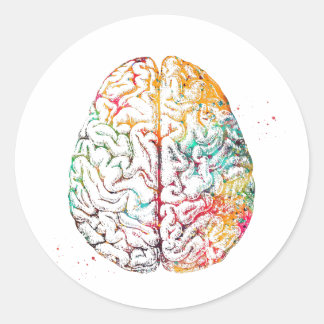 Human Brain Classic Round Sticker
