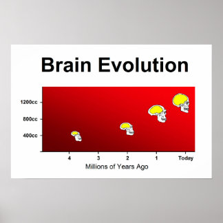 Human Brain Evolution Poster