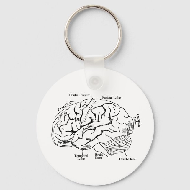 Human Brain Key Ring (Front)