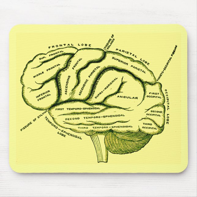 Human Brain Mouse Mat (Front)