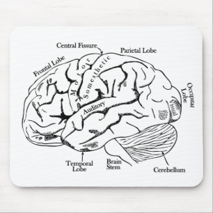Human Brain Mouse Mat