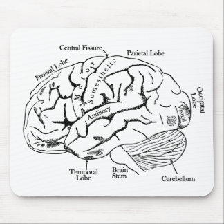Human Brain Mouse Mat