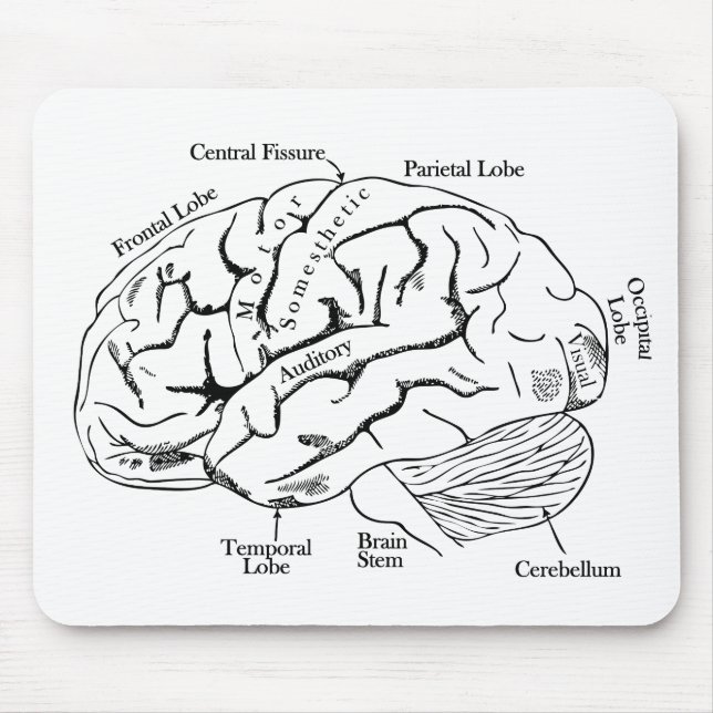 Human Brain Mouse Mat (Front)