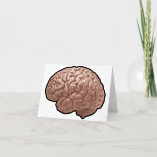 Human Brain Note Cards