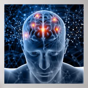 Human Brain Poster