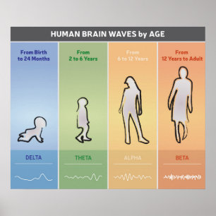 Human Brain Waves by Age Chart Diagram Multicolor