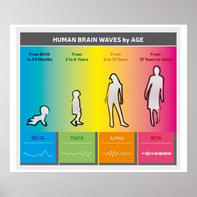 Human Brain Waves by Age Chart Diagram Rainbow (Front)