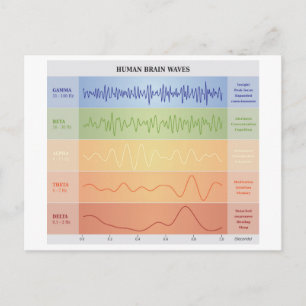 Human Brain Waves Chart Design Rainbow Colours Postcard