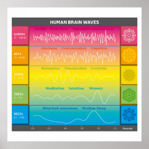 Human Brain Waves Diagram - Rainbow Colours Poster