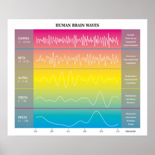Human Brain Waves Diagram - Rainbow Colours Poster