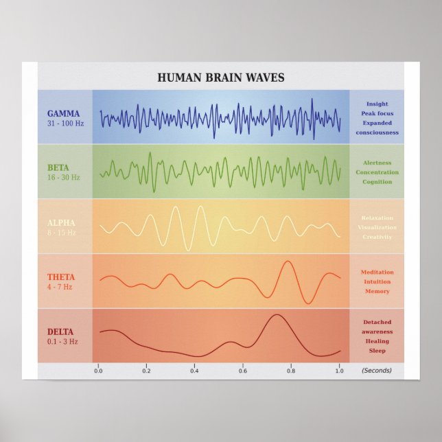 Human Brain Waves Diagram - Rainbow Colours Poster (Front)