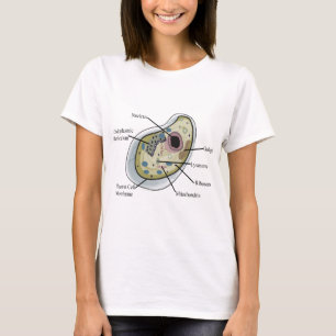 Human Cell Biology T-Shirts