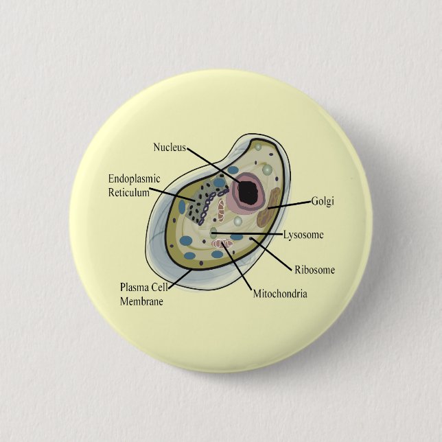 Human Cell Biology T-Shirts 6 Cm Round Badge (Front)