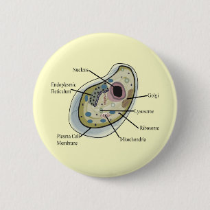 Human Cell Biology T-Shirts 6 Cm Round Badge