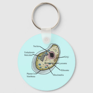 Human Cell Biology T-Shirts Key Ring